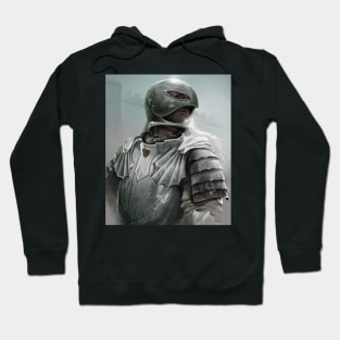 Hawk Knight Hoodie